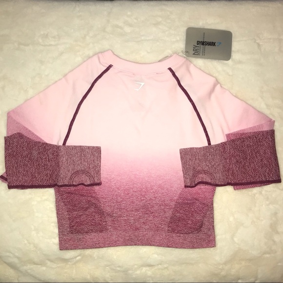 Gymshark Ombre Seamless Crop Top - Chalk Pink/Beet - Picture 4 of 9